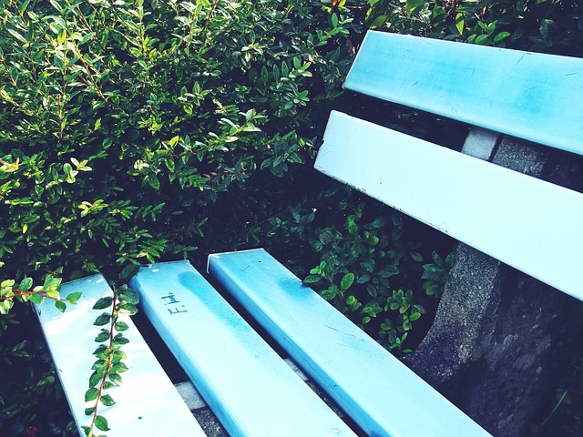 省港盃的背 省港盃的背