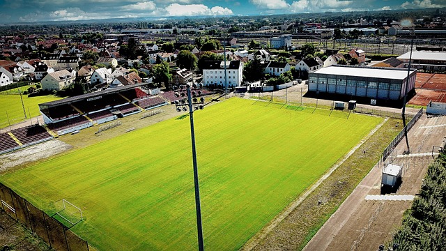 豪门竞相追 豪门竞相追